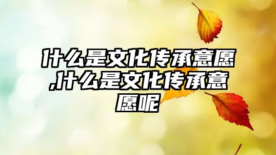 什么是文化傳承意愿,什么是文化傳承意愿呢